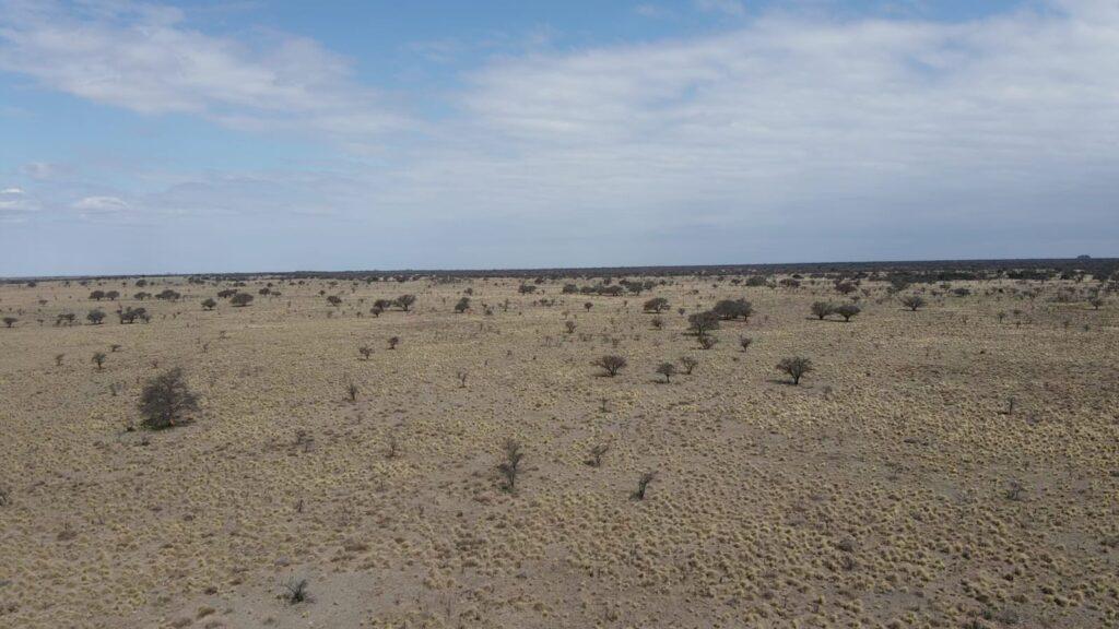 1800 Hectáreas en Alto Pelado, San Luis