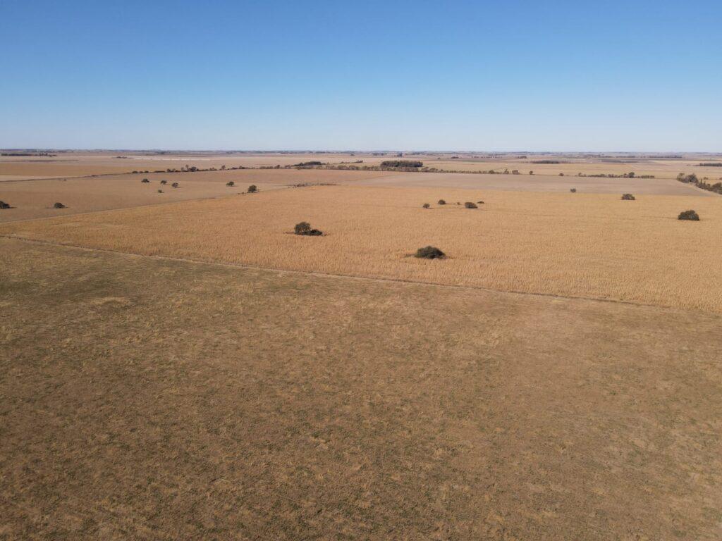 1040 Hectáreas en Tilisarao